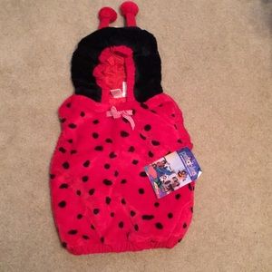 Lady bug costume
